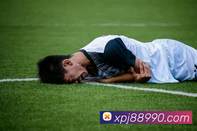 新葡京娱乐发展历程